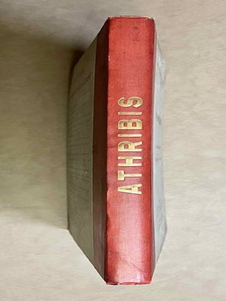 Athribis[newline]M1268b-01.jpeg