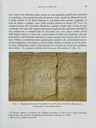 Naturalia e artificialia. Le piante e i fiori d'Egitto nell'esperienza museografica degli scavi e degli erbari. 1. giornata, 11 maggio 2013.[newline]M12694-05.jpeg