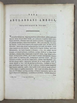 Abul Abbasi Amedis, Tulonidarum primi vita et res gestae. Ex codicibus MSS. Bibliothecae Lugduno Batavae editisque libris concinnavit et auctorum testimonia adjecit.[newline]M12738-08.jpeg