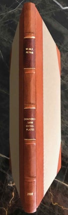 Item #M1273d Dendereh. 1898. Extra-plates. PETRIE William M. Flinders[newline]M1273d-00.jpeg