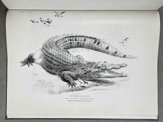 Item #M12744 Zoology of Egypt. Volume I: Reptilia and Batrachia. ANDERSON John