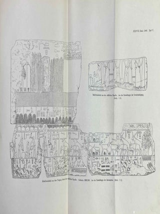 Vorl&auml;ufiger Bericht &uuml;ber die Ausgrabungen bei Abusir im Winter 1898/99, von Heinrich Sch&auml;fer. [with:] Vorl&auml;ufiger Bericht &uuml;ber die Ausgrabungen bei Abusir im Winter 1899/1900. I: Das Re__Heiligtum des K&ouml;nigs Ne-woser-re, von Ludwig Borchardt. II: Versuchsgrabung im Tempel der Pyramide des K&ouml;nigs Nefer-er-ke-re, von Heinrich Sch&auml;fer. [with:] Vorl&auml;ufiger Bericht &uuml;ber die Ausgrabungen bei Abusir im Winter 1900/1901, von Ludwig Borchardt und Heinrich Sch&auml;fer.[newline]M12747-14.jpeg