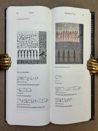 The Egyptian book of gates[newline]M12906-11.jpeg