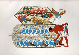 I monumenti dell'Egitto e della Nubia. Disegnati dalla spedizione scientifico-letteraria Toscana in Egitto. Testo: Vol. I: Monumenti storici. Vol. II: Monumenti civili. Vol. III: Monumenti del culto. Tavole I-III (complete set)
