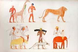 I monumenti dell'Egitto e della Nubia. Disegnati dalla spedizione scientifico-letteraria Toscana in Egitto. Testo: Vol. I: Monumenti storici. Vol. II: Monumenti civili. Vol. III: Monumenti del culto. Tavole I-III (complete set)