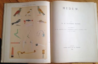 Medum[newline]M1293-01.jpg
