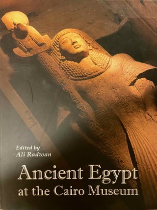 Item #M13032 Ancient Egypt at the Cairo Museum. RADWAN Ali