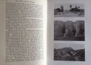 Researches in Sinai[newline]M1304a-06.jpg
