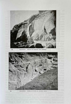 Researches in Sinai