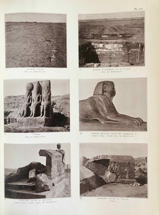 Tanis. Part I. 1883-4. Part II: Tanis II & Nebesheh (Am) and Defenneh (Tahpanhes) (complete set)[newline]M1311d-19.jpg