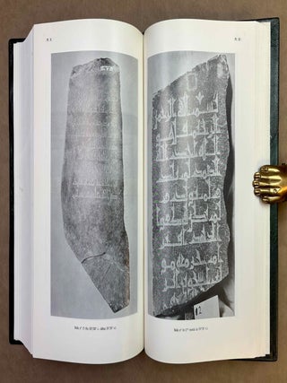 St&egrave;les fun&eacute;raires musulmanes des Iles Dahlak (Mer Rouge). Tome I: Introduction, documents et indices. Tome II: Tableaux et planches (complete set)[newline]M13183-07.jpeg