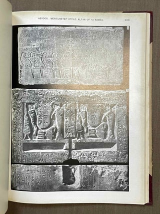 Tombs of the courtiers and Oxyrhynkhos[newline]M1327b-08.jpeg