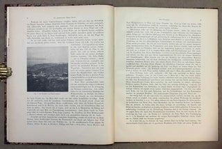 Tell Ta'annek. Bericht über eine mit Unterstützung der Kaiserlichen Akademie der Wissenschaften und des K.K. Ministeriums für Kultus und Unterricht unternommene Ausgrabung in Palästina.