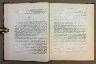 Tell Ta'annek. Bericht über eine mit Unterstützung der Kaiserlichen Akademie der Wissenschaften und des K.K. Ministeriums für Kultus und Unterricht unternommene Ausgrabung in Palästina.