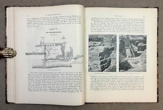 Tell Ta'annek. Bericht über eine mit Unterstützung der Kaiserlichen Akademie der Wissenschaften und des K.K. Ministeriums für Kultus und Unterricht unternommene Ausgrabung in Palästina.