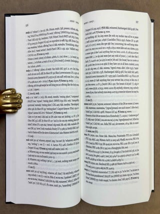 A dictionary of the Ugaritic language in the alphabetic tradition. Vol. I: A-K. Vol. II: L-Z (complete set)[newline]M13381-09.jpeg