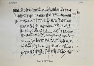 Item #M1354a Papyrus de Turin (reprint edition). PLEYTE Willem - ROSSI Francesco