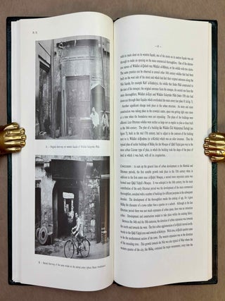 An urban history of Bulaq in the Mamluk and Ottoman periods[newline]M13579-07.jpeg