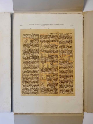 Item #M13581 Aegyptische hiëroglyphische lijkpapyrus (T. 16) van het Nederlandsche Museum van...