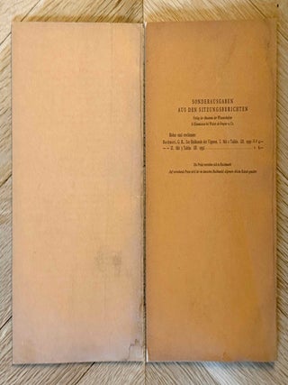 Zur Heilkunde der Uiguren I & II (complete set)[newline]M13627-07.jpeg