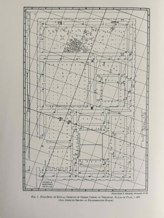 Aramaic Ritual Texts from Persepolis[newline]M13653-07.jpeg