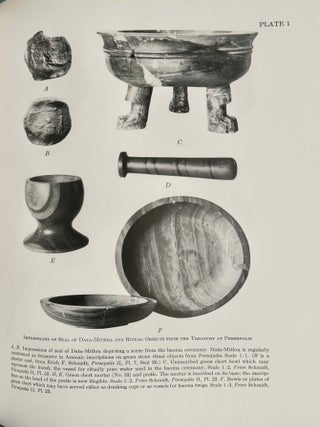 Aramaic Ritual Texts from Persepolis[newline]M13653-10.jpeg
