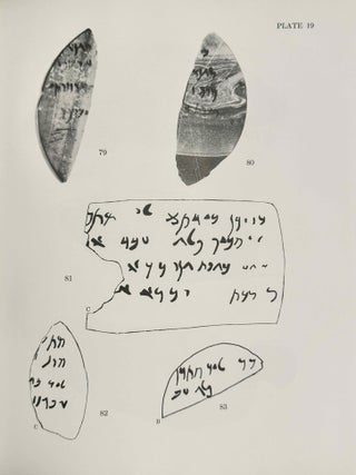 Aramaic Ritual Texts from Persepolis[newline]M13653-11.jpeg