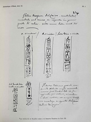 La premi&egrave;re domination perse en Egypte. Recueil d&rsquo;inscriptions hi&eacute;roglyphiques.[newline]M1375d-14.jpeg
