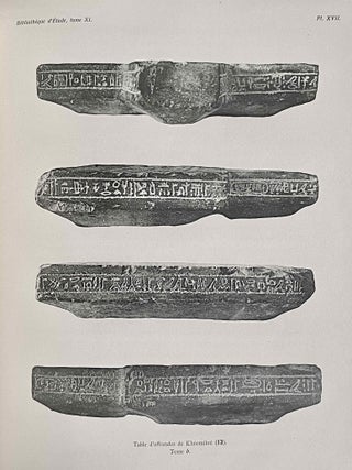La premi&egrave;re domination perse en Egypte. Recueil d&rsquo;inscriptions hi&eacute;roglyphiques.[newline]M1375d-16.jpeg