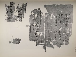 The Abu Sir papyri. Edited, together with Complementary Texts in other collections.[newline]M1382e-16.jpg
