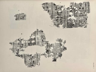The Abu Sir papyri. Edited, together with Complementary Texts in other collections.