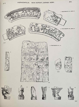 Hierakonpolis. Part I (of two)[newline]M1393c-10.jpeg