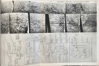 Hierakonpolis. Part I (of two)[newline]M1393c-12.jpeg