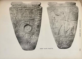 Hierakonpolis. Part I (of two)[newline]M1393c-13.jpeg