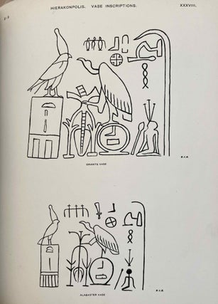 Hierakonpolis. Part I (of two)[newline]M1393c-14.jpeg