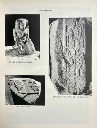 Hierakonpolis. Part I & II (complete set)[newline]M1393d-06.jpeg