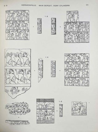 Hierakonpolis. Part I & II (complete set)[newline]M1393d-09.jpeg