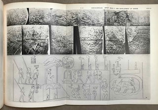 Hierakonpolis. Part I & II (complete set)[newline]M1393d-12.jpeg