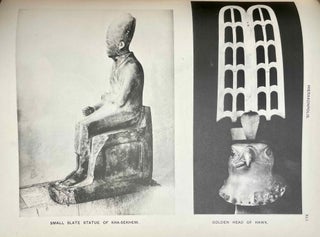 Hierakonpolis. Part I & II (complete set)[newline]M1393d-16.jpeg