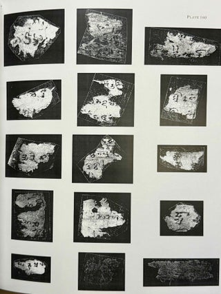 Saka documents VII: The St. Petersburg collections. Part 2. (XEROX)