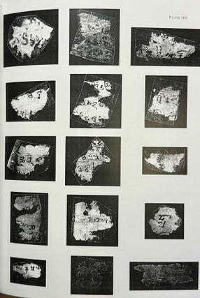 Saka documents VII: The St. Petersburg collections. Part 2. (XEROX)