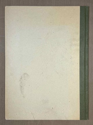 Koptische Pal&auml;ographie. Text und Tafeln (complete set)[newline]M14061-05.jpeg