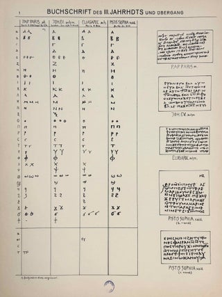 Koptische Pal&auml;ographie. Text und Tafeln (complete set)[newline]M14061-09.jpeg