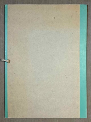 Koptische Pal&auml;ographie. Text und Tafeln (complete set)[newline]M14061-13.jpeg