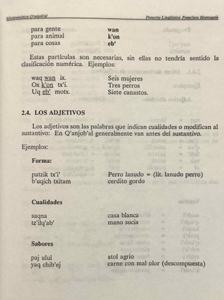 Diccionario del idioma q'anjob'al
