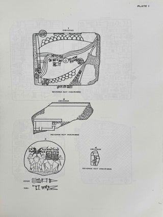 Excavations at Nuzi. Vol. I-VIII (complete set, in XEROX). Vol. I: Texts of varied contents. Vol. II: The archives of Shilwateshub son of the King. Vol. III: Old Akkadian, Sumerian, and Cappadocian texts from Nuzi. Vol. IV: Miscellaneous texts from Nuzi, part 1. Vol. V: Miscellaneous texts from Nuzi, part 2: The palace and temple archives. Vol. VI: The administrative archives. Vol. VII: Economic and social documents. Vol. VIII: Family law documents.