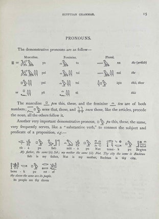 An Elementary Grammar of the Ancient Egyptian Language[newline]M1432-05.jpeg