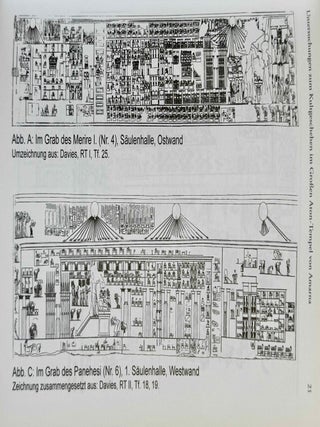 Untersuchungen zum Kultgeschehen im Grossen Aton-Tempel von Amarna
