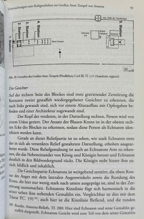 Untersuchungen zum Kultgeschehen im Grossen Aton-Tempel von Amarna