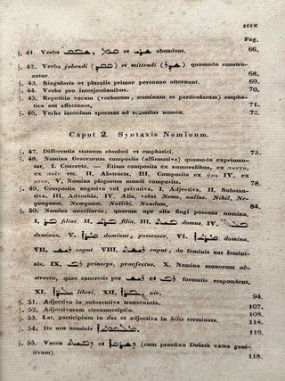 Supplementa Syntaxeos syriacae, including 2 Appendicula[newline]M14583-07.jpeg